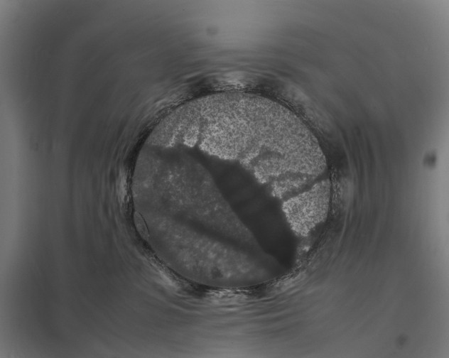 X0000097620331200803281042