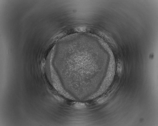 X0000097620332200803281042