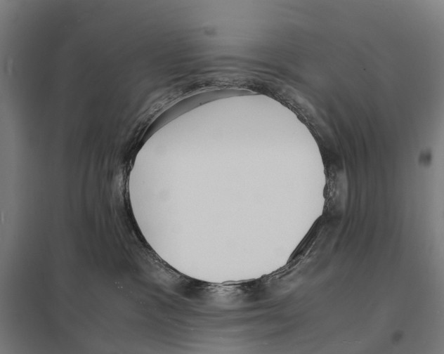 X0000097620333200803281042