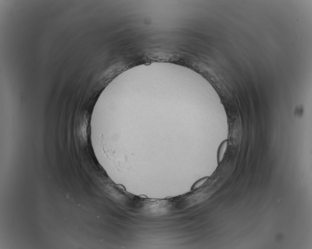 X0000097620334200803281042