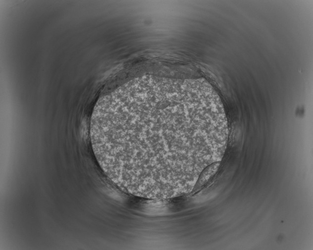 X0000097620335200803281042