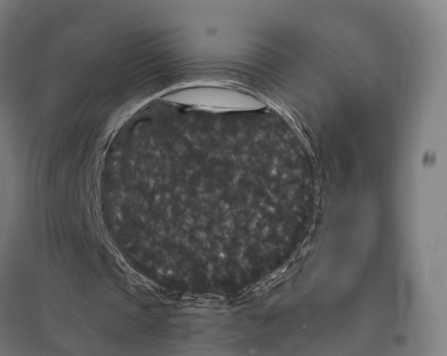X0000097620337200803281041