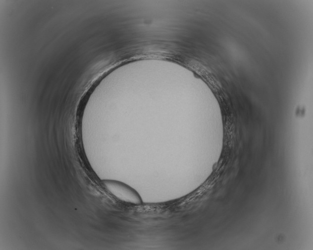 X0000097620338200803281041