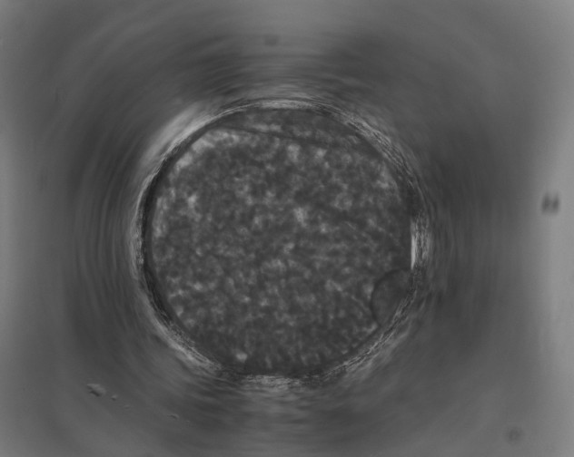 X0000097620339200803281041