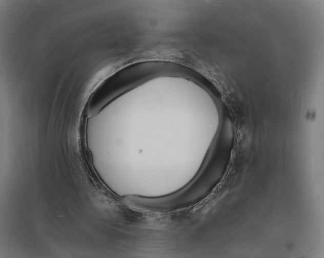 X0000097620340200803281041