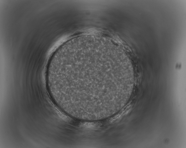 X0000097620341200803281041