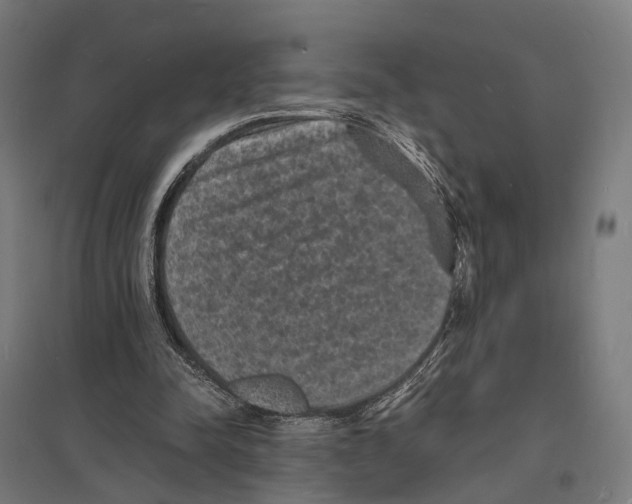 X0000097620342200803281041
