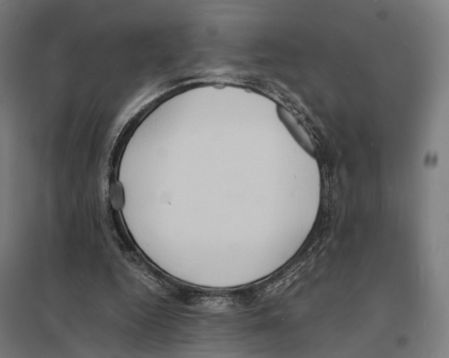 X0000097620344200803281041
