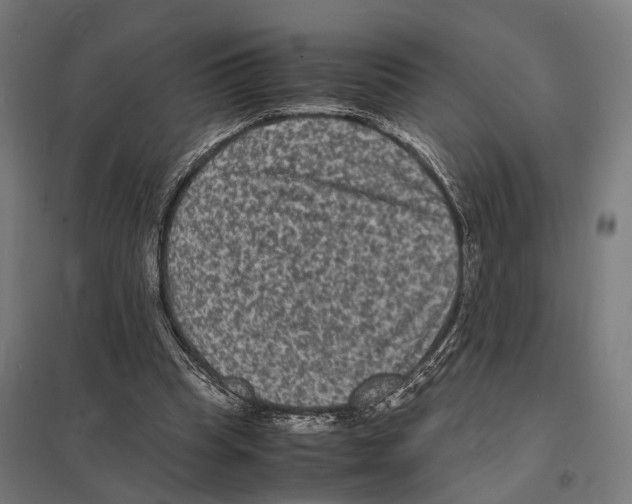 X0000097620345200803281041