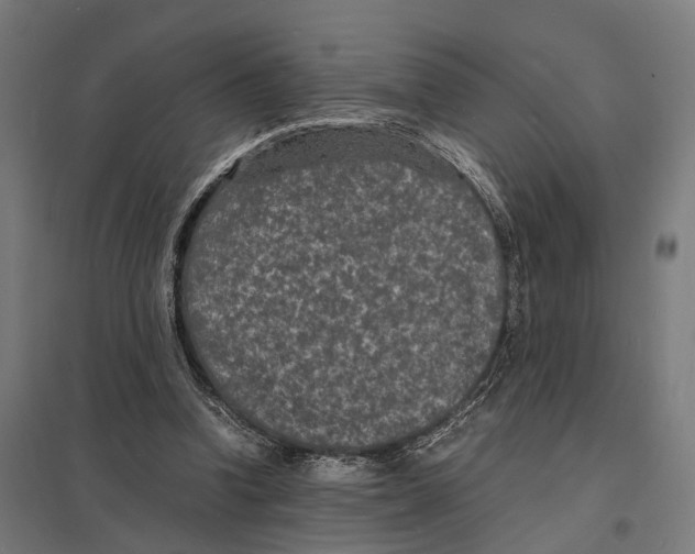 X0000097620346200803281041
