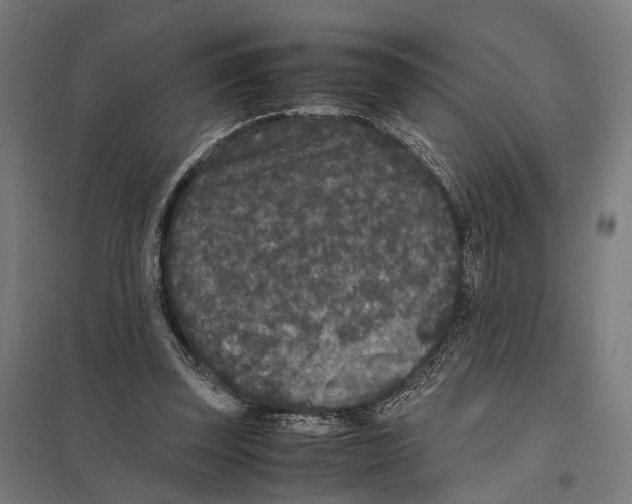 X0000097620347200803281041