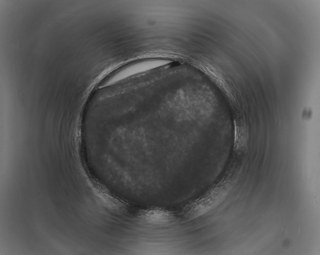 X0000097620348200803281041