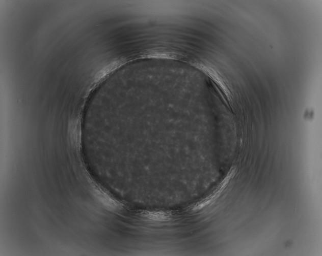 X0000097620349200803281041