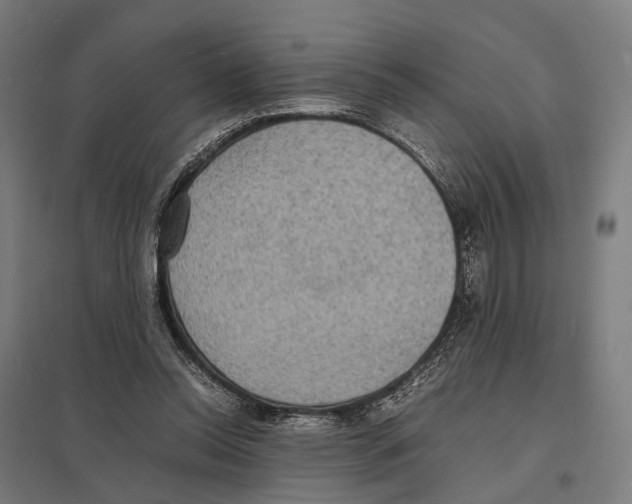 X0000097620350200803281041