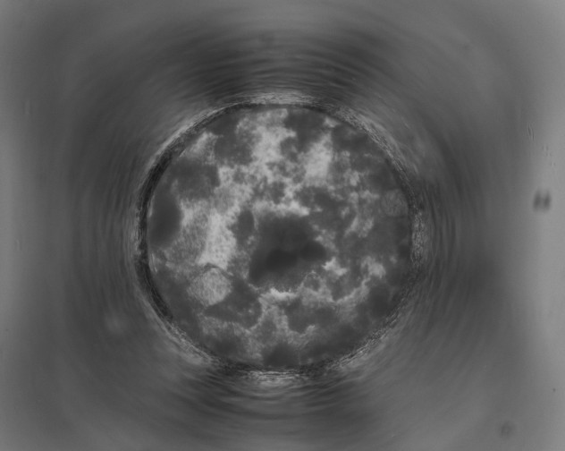 X0000097620351200803281041