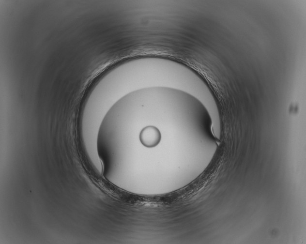 X0000097620352200803281041