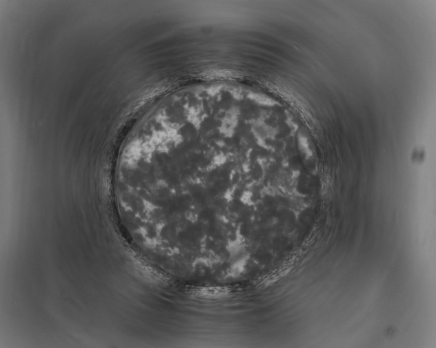 X0000097620353200803281041