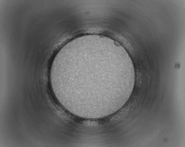 X0000097620354200803281041