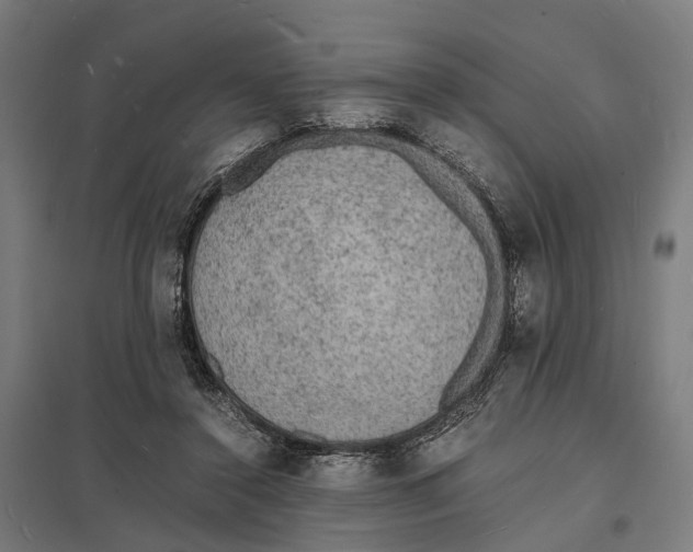 X0000097620356200803281041