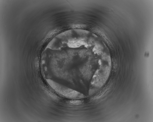 X0000097620357200803281041