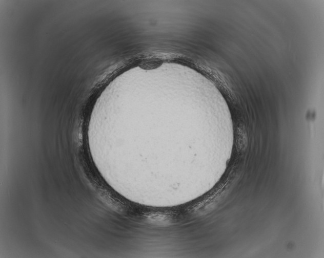X0000097620358200803281041