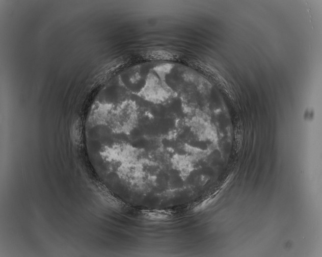 X0000097620359200803281041