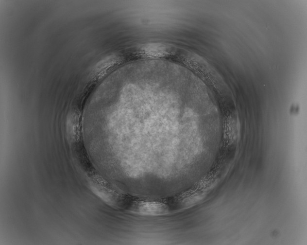 X0000097620360200803281041