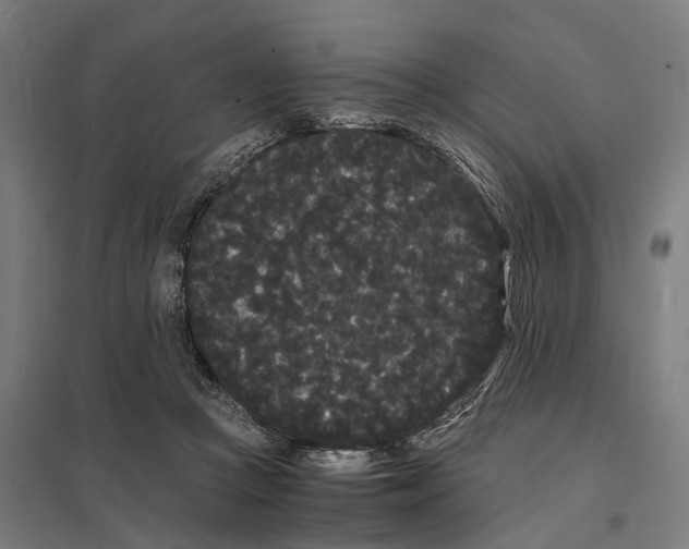 X0000097620361200803281041