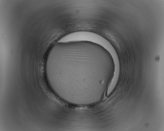X0000097620362200803281041