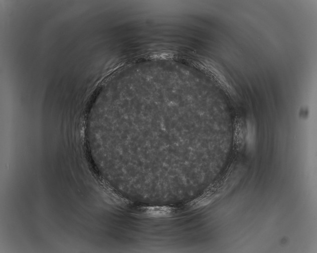 X0000097620363200803281041