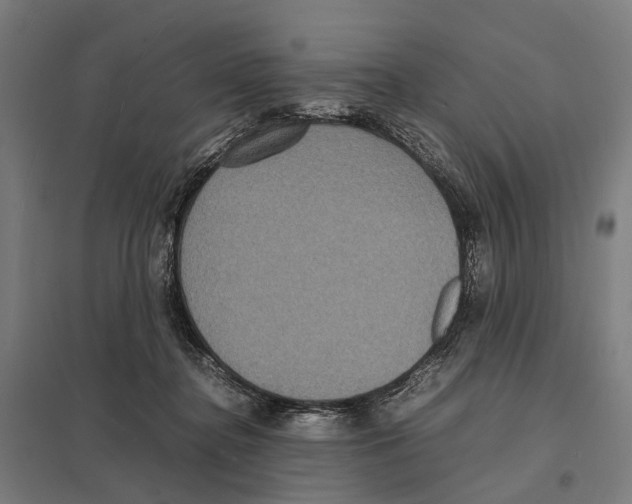 X0000097620364200803281041