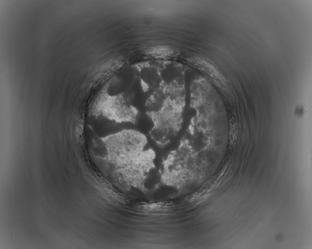 X0000097620365200803281041