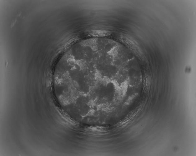 X0000097620367200803281041
