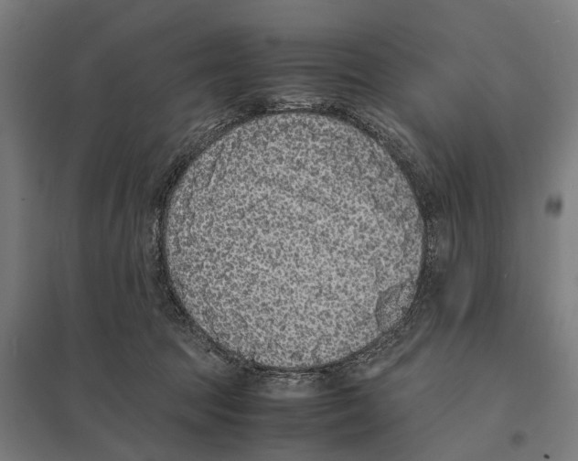 X0000097620369200803281041