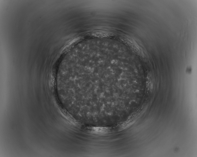 X0000097620371200803281041