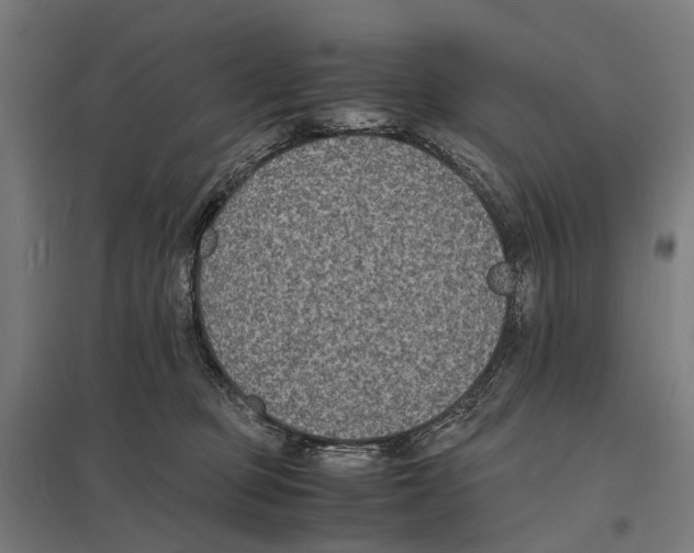 X0000097620373200803281042