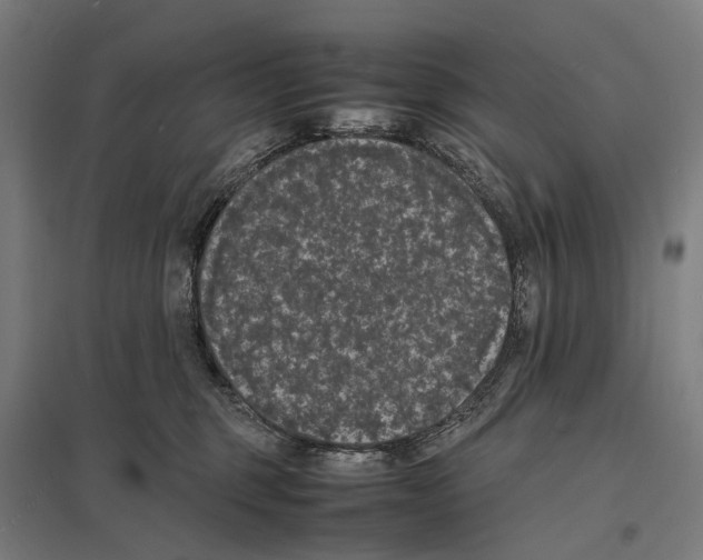 X0000097620375200803281042
