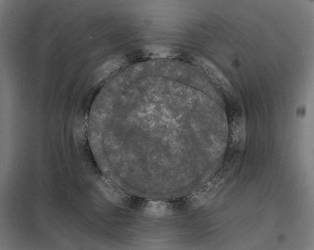 X0000097620376200803281042
