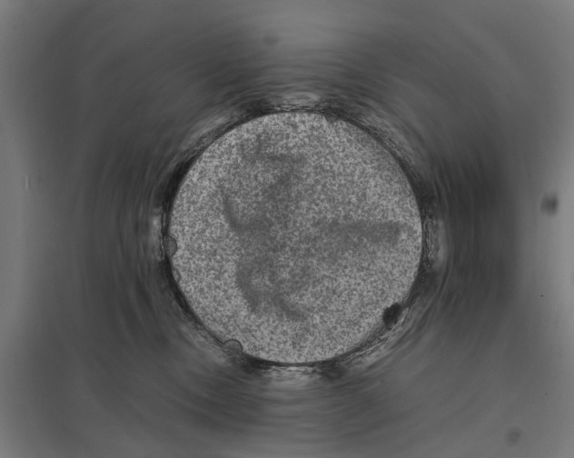 X0000097620378200803281042