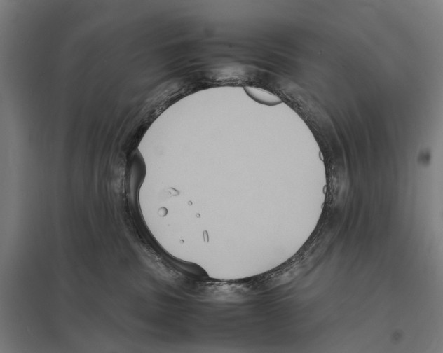 X0000097620379200803281042