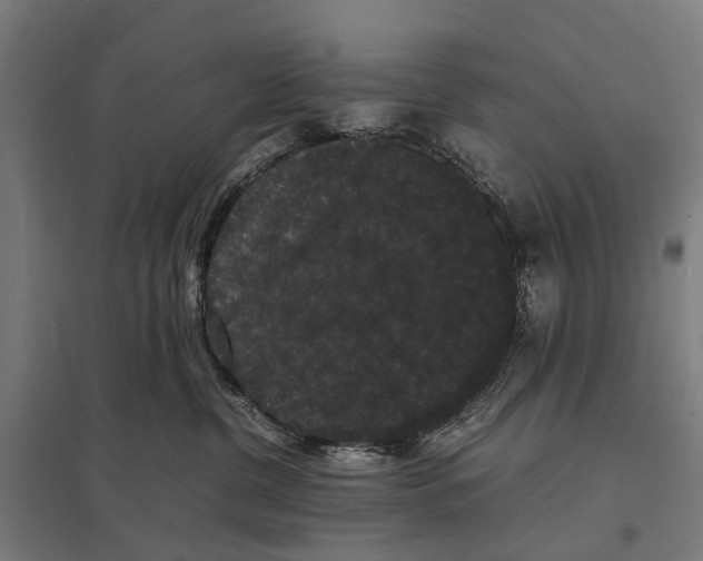 X0000097620380200803281042