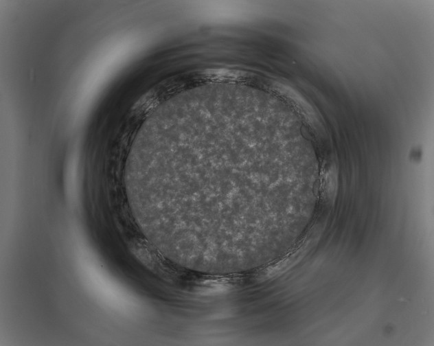X0000097620381200803281042