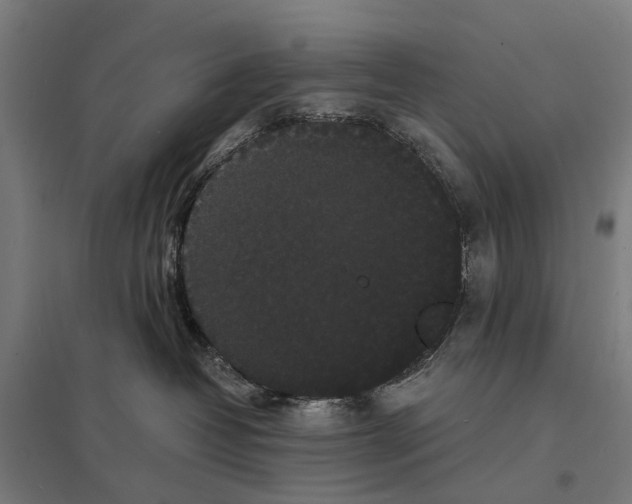 X0000097620382200803281042