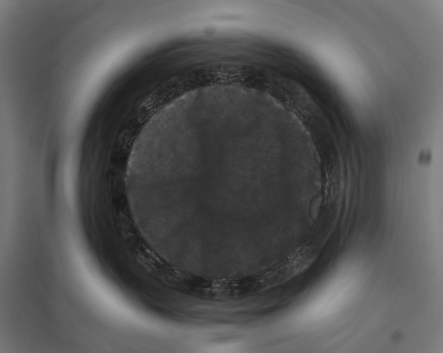 X0000097620383200803281042