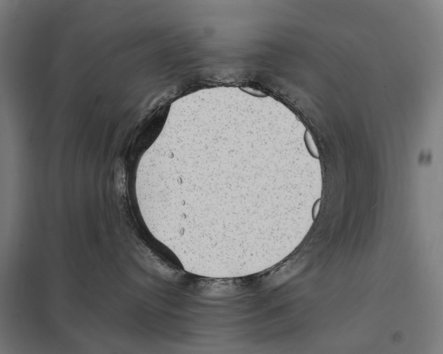 X0000097620384200803281042