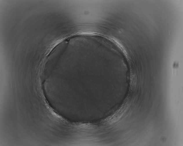 X0000097620385200803281041