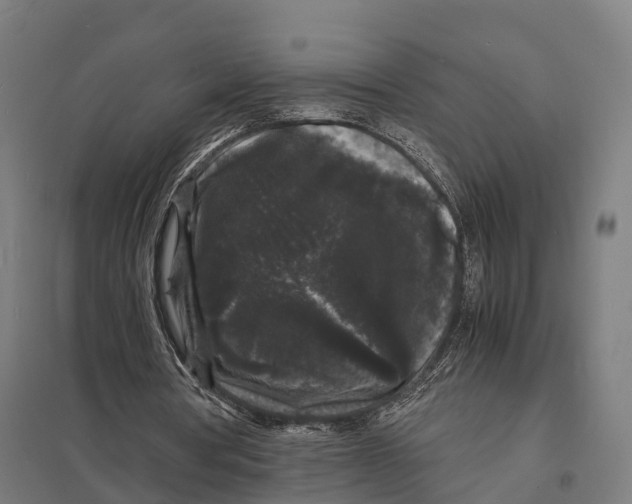 X0000097620386200803281041