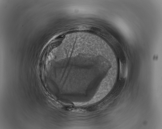 X0000097620387200803281041