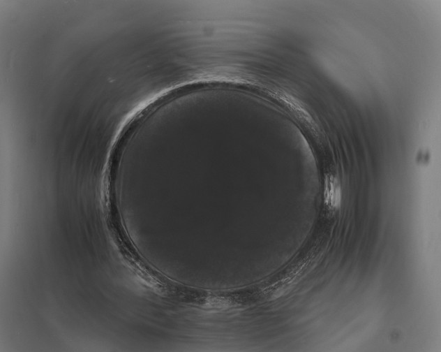 X0000097620388200803281041