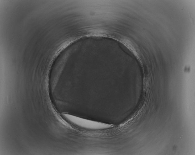 X0000097620389200803281041
